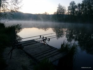 IMG_20160502_045803.jpg