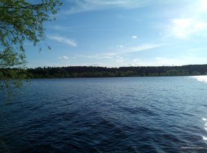 P60430-174220[1].jpg