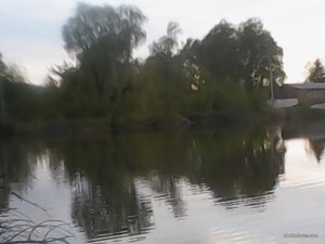 IMG_20160501_184025.jpg