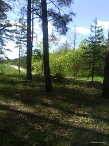 IMG_20160503_143038.jpg