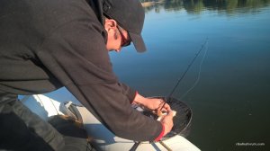 WP_20160503_07_15_00_Pro.jpg