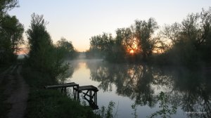 IMG_3897.JPG