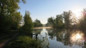 IMG_3911.JPG