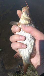 _20160504_160703.jpg