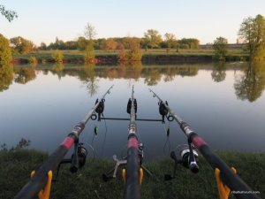 IMG_8327.JPG
