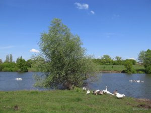 IMG_8340.JPG