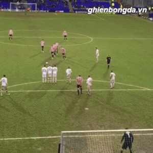 giphy-downsized-large.gif