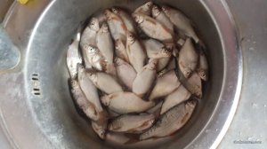 20160503_144730.jpg