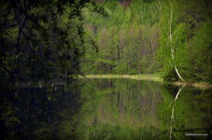 DSC_0344.JPG