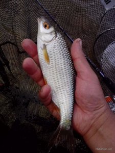 IMG_20160507_163735.jpg