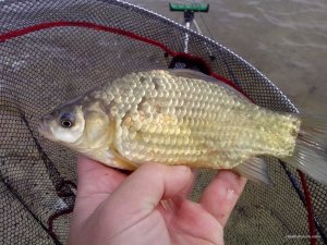 IMG_20160507_093938.jpg