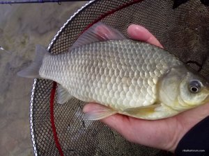 IMG_20160507_104832.jpg