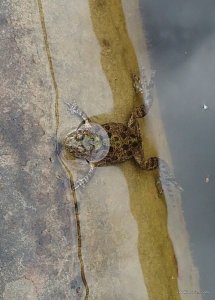 _20160508_183729.jpg