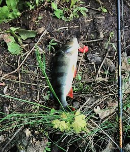 _20160508_203728.jpg