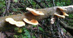 _20160508_184259.jpg