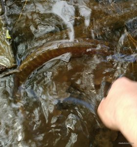 _20160508_184431.jpg
