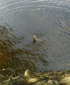 _20160508_184607.jpg