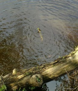 _20160508_184729.jpg