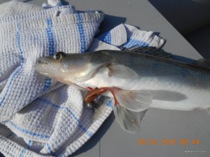 DSCN1470.JPG
