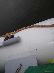 20160507_071325.jpg