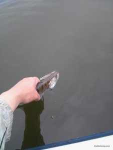 20160507_151227.jpg