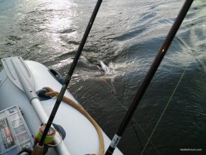 20160507_180849.jpg