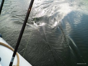 20160507_180855.jpg