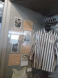 P60509-144005.jpg
