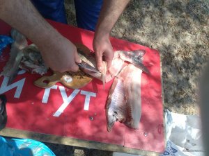 IMG_20160508_112606.jpg