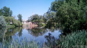 IMG_20160509_101128.jpg