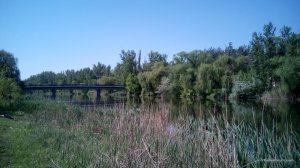 IMG_20160509_101114.jpg