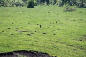 IMG_7631.JPG