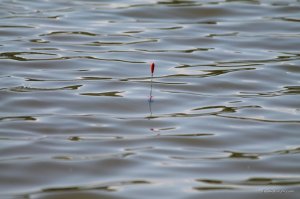 IMG_7559.JPG