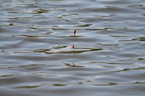 IMG_7560.JPG