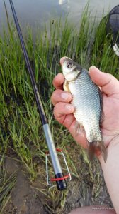 20160509_171835.jpg