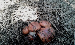 20160510_143912.jpg