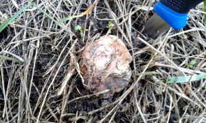 20160510_160703.jpg