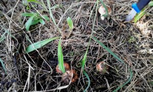 20160510_161607.jpg