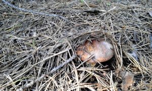 20160510_162510.jpg