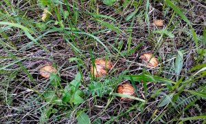 20160510_164453.jpg