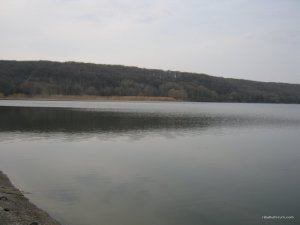 IMG_1564.JPG