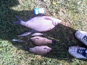 IMG_20160511_104839.jpg