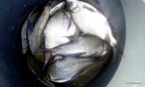 20160511_173130.jpg