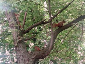 IMG_20160512_082409.jpg