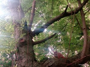 IMG_20160512_082422.jpg