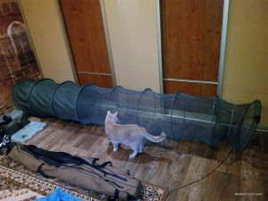 IMG_20160506_203801.jpg