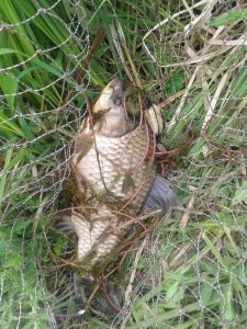 20160512_104226.jpg