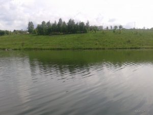 20160512_140205.jpg