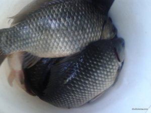 20160512_182032.jpg