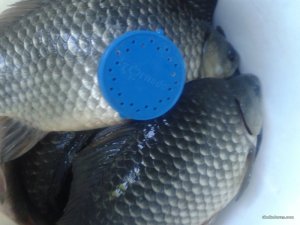 20160512_182039.jpg